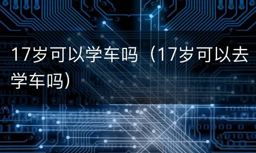 17岁可以学车吗（17岁可以去学车吗）