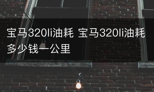 宝马320li油耗 宝马320li油耗多少钱一公里