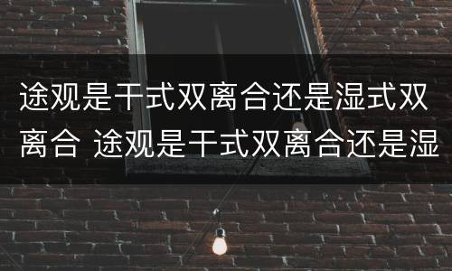 途观是干式双离合还是湿式双离合 途观是干式双离合还是湿式双离合?