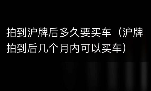 拍到沪牌后多久要买车（沪牌拍到后几个月内可以买车）