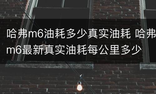 哈弗m6油耗多少真实油耗 哈弗m6最新真实油耗每公里多少