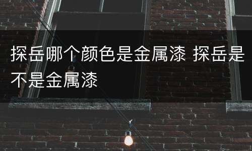 探岳哪个颜色是金属漆 探岳是不是金属漆