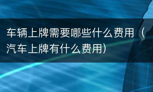 车辆上牌需要哪些什么费用（汽车上牌有什么费用）