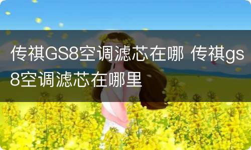 传祺GS8空调滤芯在哪 传祺gs8空调滤芯在哪里