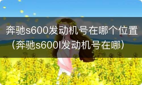 奔驰s600发动机号在哪个位置（奔驰s600l发动机号在哪）