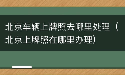 北京车辆上牌照去哪里处理（北京上牌照在哪里办理）