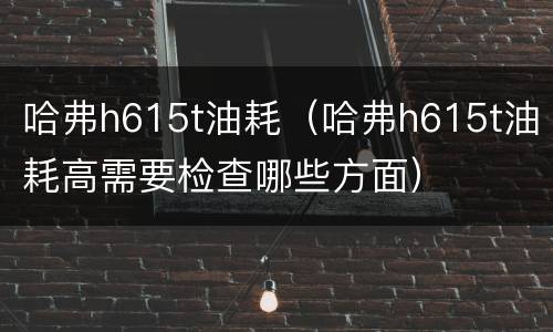 哈弗h615t油耗（哈弗h615t油耗高需要检查哪些方面）