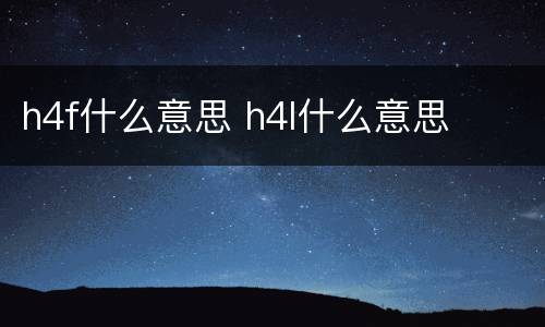 h4f什么意思 h4l什么意思