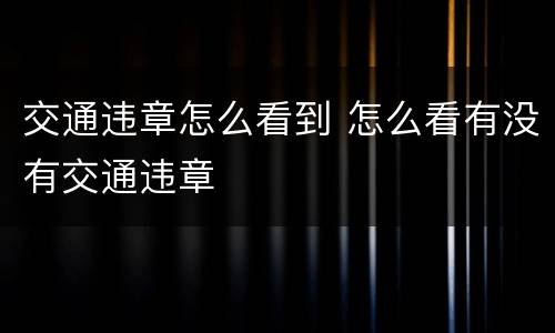 交通违章怎么看到 怎么看有没有交通违章