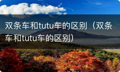 双条车和tutu车的区别（双条车和tutu车的区别）