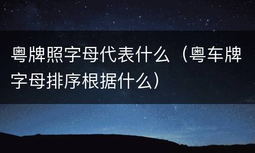 粤牌照字母代表什么（粤车牌字母排序根据什么）