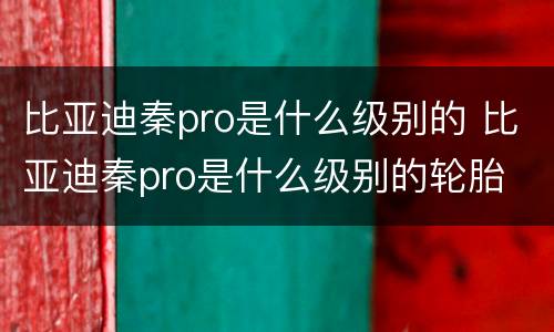 比亚迪秦pro是什么级别的 比亚迪秦pro是什么级别的轮胎