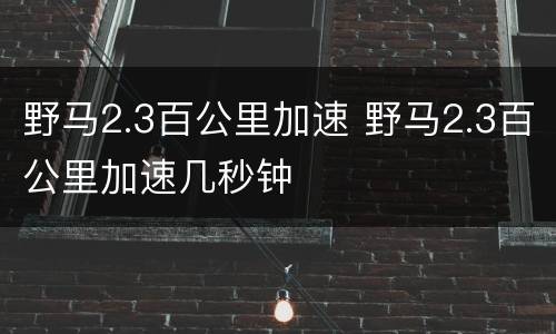 野马2.3百公里加速 野马2.3百公里加速几秒钟