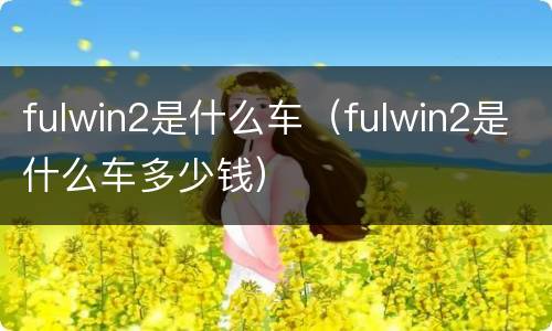 fulwin2是什么车（fulwin2是什么车多少钱）