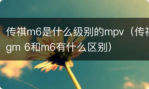 传祺m6是什么级别的mpv（传祺gm 6和m6有什么区别）