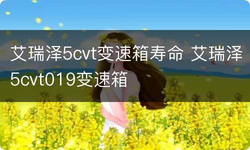 艾瑞泽5cvt变速箱寿命 艾瑞泽5cvt019变速箱