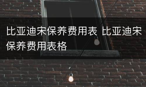 比亚迪宋保养费用表 比亚迪宋保养费用表格