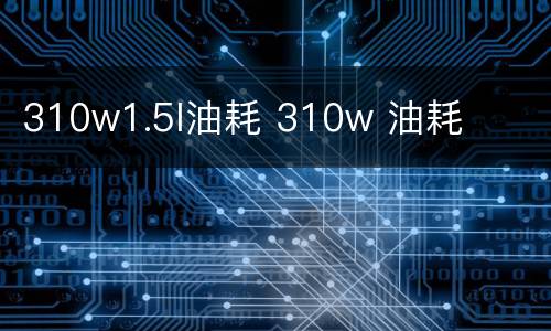 310w1.5l油耗 310w 油耗