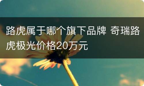 路虎属于哪个旗下品牌 奇瑞路虎极光价格20万元