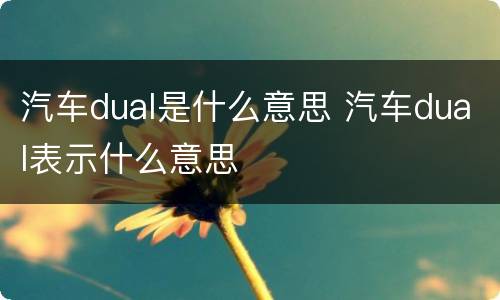 汽车dual是什么意思 汽车dual表示什么意思