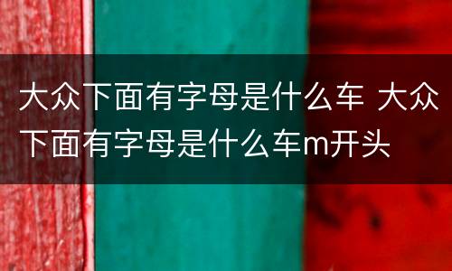 大众下面有字母是什么车 大众下面有字母是什么车m开头