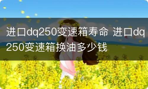 进口dq250变速箱寿命 进口dq250变速箱换油多少钱