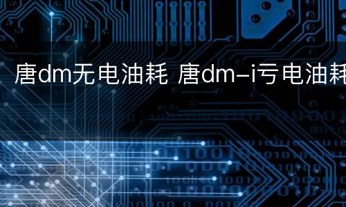 唐dm无电油耗 唐dm-i亏电油耗