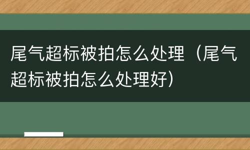 尾气超标被拍怎么处理（尾气超标被拍怎么处理好）