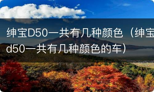 绅宝D50一共有几种颜色（绅宝d50一共有几种颜色的车）