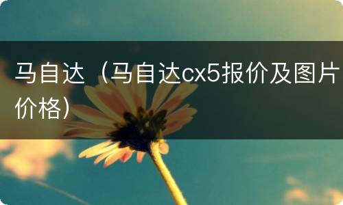 马自达（马自达cx5报价及图片价格）