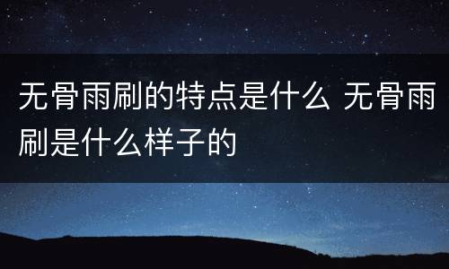 无骨雨刷的特点是什么 无骨雨刷是什么样子的