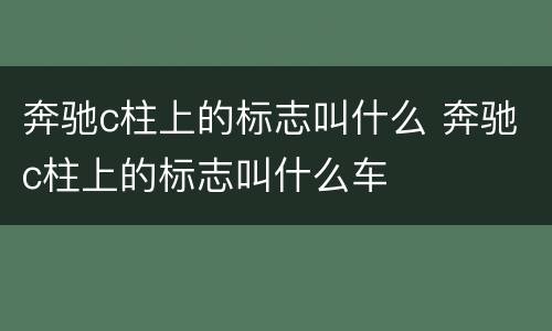 奔驰c柱上的标志叫什么 奔驰c柱上的标志叫什么车