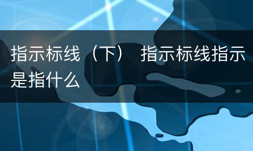 指示标线（下） 指示标线指示是指什么