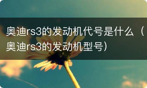 奥迪rs3的发动机代号是什么（奥迪rs3的发动机型号）