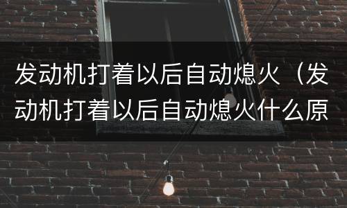 发动机打着以后自动熄火（发动机打着以后自动熄火什么原因）