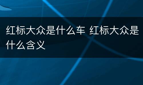 红标大众是什么车 红标大众是什么含义