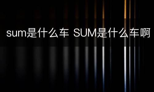 sum是什么车 SUM是什么车啊