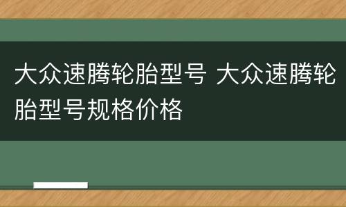 大众速腾轮胎型号 大众速腾轮胎型号规格价格