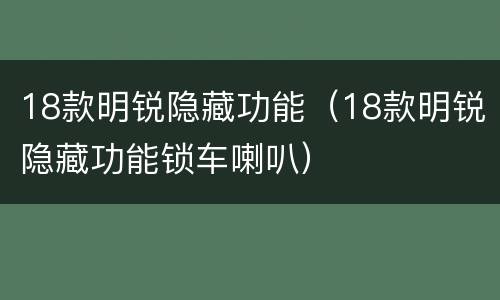 18款明锐隐藏功能（18款明锐隐藏功能锁车喇叭）