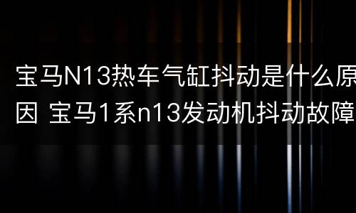 宝马N13热车气缸抖动是什么原因 宝马1系n13发动机抖动故障