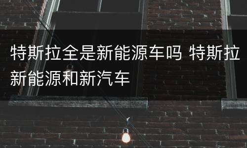 特斯拉全是新能源车吗 特斯拉新能源和新汽车