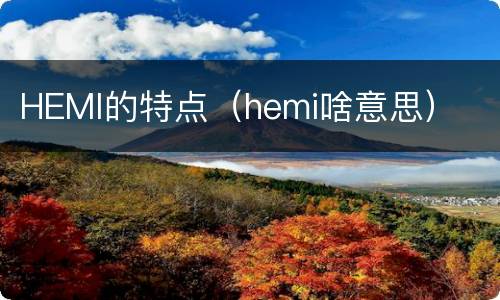 HEMI的特点（hemi啥意思）