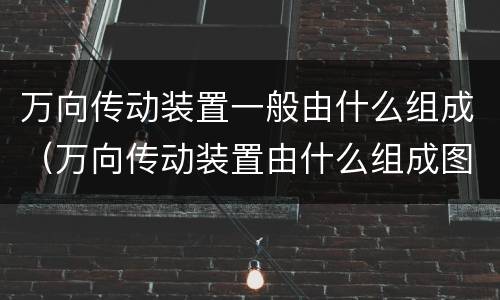 万向传动装置一般由什么组成（万向传动装置由什么组成图片）