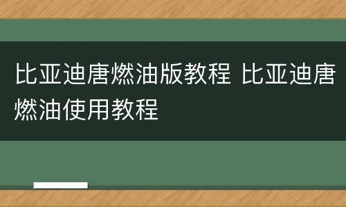 比亚迪唐燃油版教程 比亚迪唐燃油使用教程