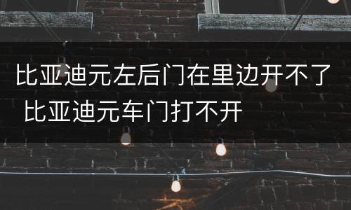 比亚迪元左后门在里边开不了 比亚迪元车门打不开