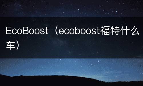 EcoBoost（ecoboost福特什么车）