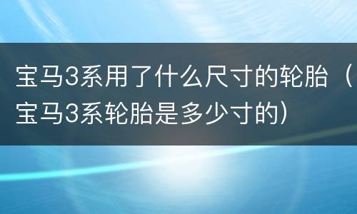 宝马3系用了什么尺寸的轮胎（宝马3系轮胎是多少寸的）