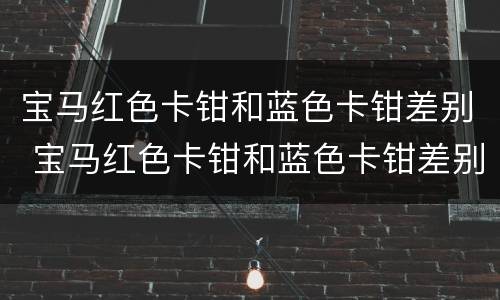 宝马红色卡钳和蓝色卡钳差别 宝马红色卡钳和蓝色卡钳差别在哪