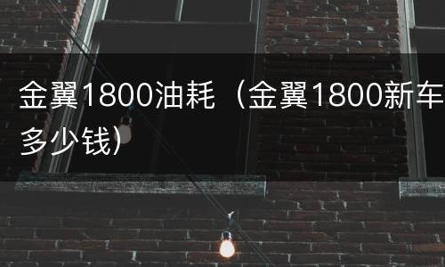 金翼1800油耗（金翼1800新车多少钱）