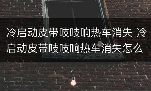 冷启动皮带吱吱响热车消失 冷启动皮带吱吱响热车消失怎么解决